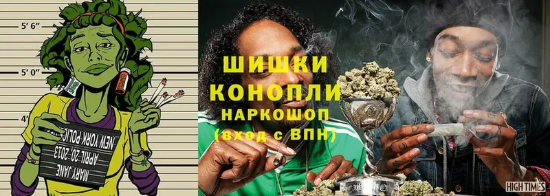 закладки  Гороховец  Бошки марихуана THC 21% 